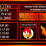 PREDIKSI TOGEL DUBLIN POOLS 10 DESEMBER 2024 AM : 1 7 8 9 CB : 8 9 AP : 79 91 87 SHIO : TIKUS TOP 2D 05 17 29 41 53 65 77 89 00