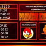 PREDIKSI TOGEL TELKOMSEL POOLS 26 JANUARI 2025