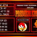 TELKOMSEL